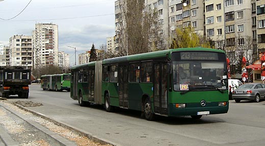 Sofia Bus